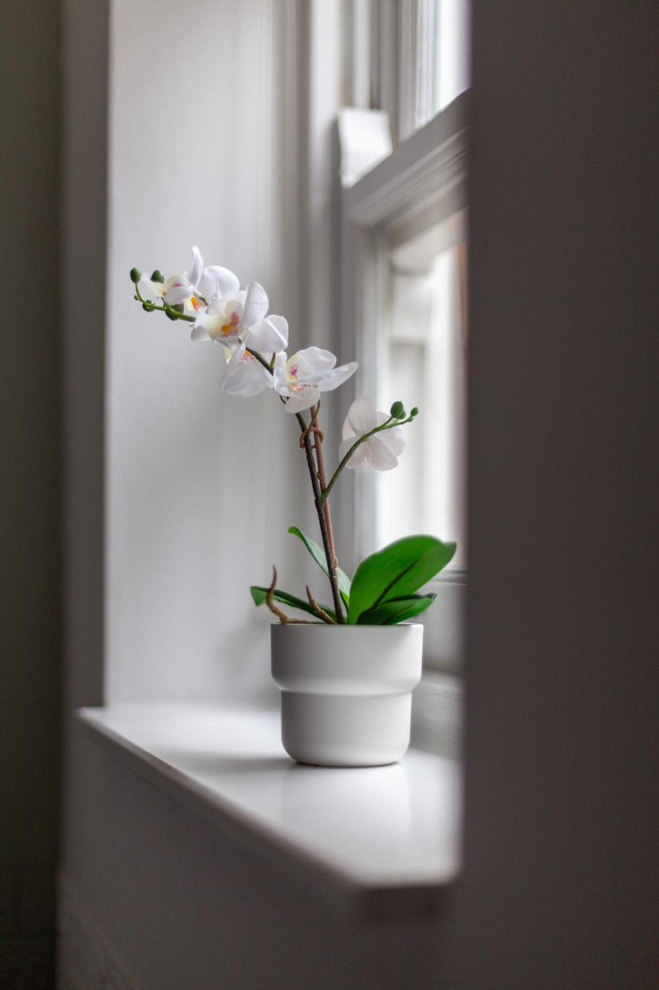 ロンドンThe Hackney Luxury Flatアパートメント エクステリア 写真